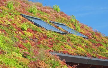 Peterlee living roof systems